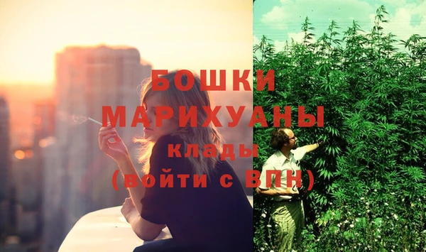 гашик Кодинск