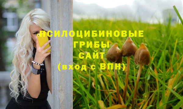 тгк Козельск