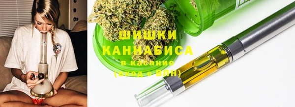 гашик Кодинск
